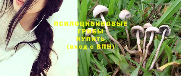 эйфоретик Балабаново