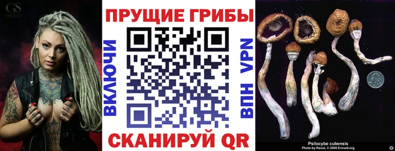 Псилоцибиновые грибы прущие грибы  как найти закладки  Зеленогорск 